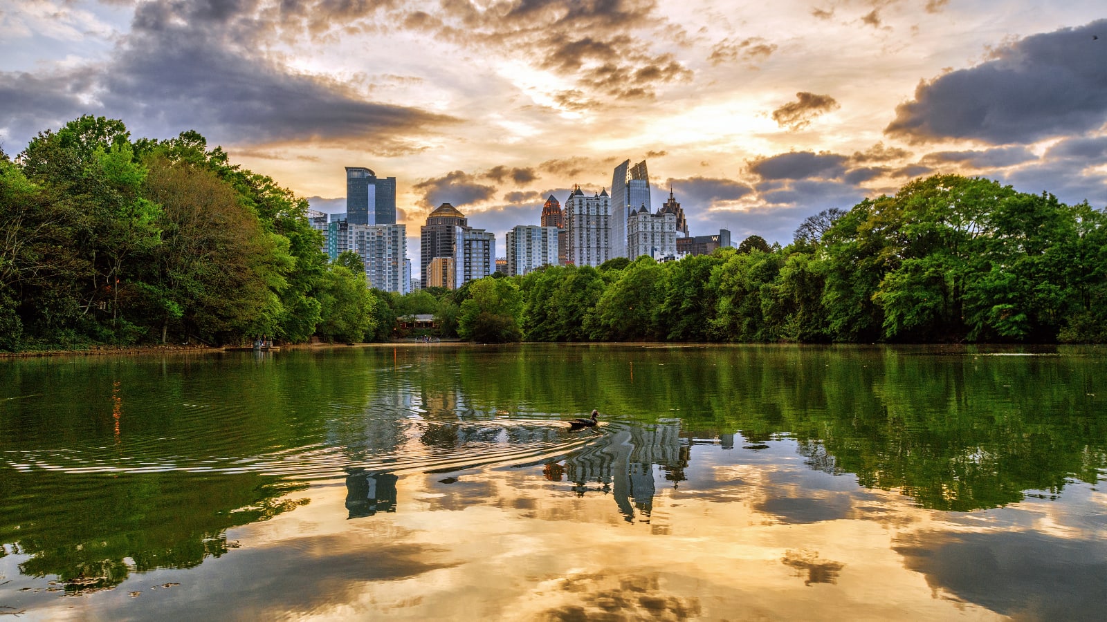 Midtown Atlanta skyline over Piedmont Park Lake Clara Meer near Treeline Ansley in Ansley Park Atlanta